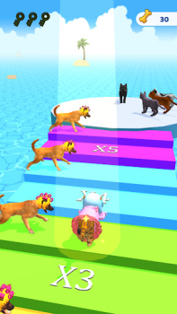 Télécharger Cats run 3D Simulateurs pour Android Capture d'écran 7