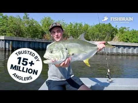 Télécharger Fishbrain : Pêche Sport pour Android Capture d'écran 8