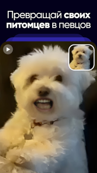 Télécharger Revive : app face de morphing Divertissement pour Android Capture d'écran 5