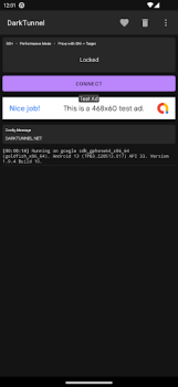 Télécharger DarkTunnel - SSH DNSTT V2Ray Outils pour Android Capture d'écran 2