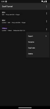 Télécharger DarkTunnel - SSH DNSTT V2Ray Outils pour Android Capture d'écran 3