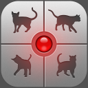 Télécharger  Cris de chat - jouez avec ton