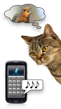 Télécharger Cris de chat - jouez avec ton Divertissement pour Android Capture d'écran 3