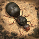 Télécharger  The Ants: Underground Kingdom
