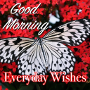 Télécharger  Bonjour tous les jours