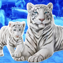 Télécharger  Jeux de tigre blanc