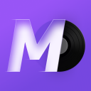 Télécharger  MD Vinyl - Lecteur de Musique