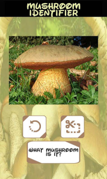 Télécharger Identifiant des champignons Divertissement pour Android Capture d'écran 3