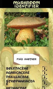 Télécharger Identifiant des champignons Divertissement pour Android Capture d'écran 4