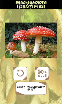 Télécharger Identifiant des champignons Divertissement pour Android Capture d'écran 6