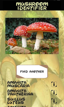 Télécharger Identifiant des champignons Divertissement pour Android Capture d'écran 7