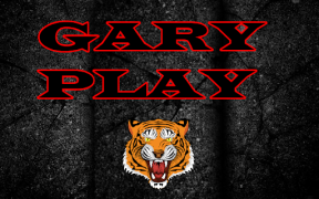 Télécharger Gary play Divertissement pour Android Capture d'écran 4
