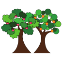 Télécharger  Fruit Trees App