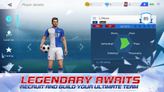 Télécharger Champion of the Fields Jeux de sport pour Android Capture d'écran 4
