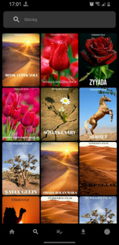 Télécharger Belet Film Divertissement pour Android Capture d'écran 4