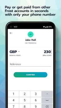 Télécharger Frost Finance pour Android Capture d'écran 6