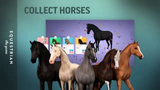 Télécharger Equestrian the Game Simulateurs pour Android Capture d'écran 7