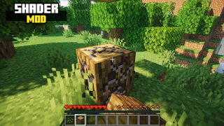 Télécharger Realistic Shader Mod Minecraft Divertissement pour Android Capture d'écran 2