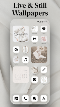 Télécharger Themify – widget, thème, icône Personnalisation pour Android Capture d'écran 6