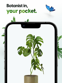 Télécharger Plant App - Identifiant Plante Éducation pour Android Capture d'écran 7