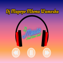 Télécharger  DJ Mapopo mbona Syalala Remix