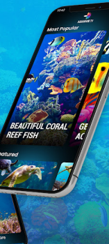 Télécharger Aquariums TV Photo pour Android Capture d'écran 3