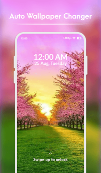 Télécharger Auto Wallpaper Changer Personnalisation pour Android Capture d'écran 5