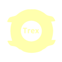 Télécharger  Amazfit T Rex / 2 / Pro WFace