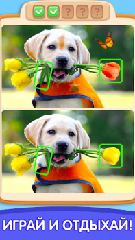 Télécharger Can You Spot It: Differences Jeux de réflexion pour Android Capture d'écran 3