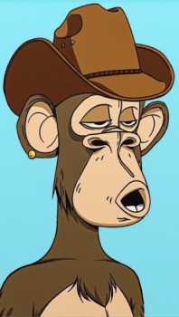 Télécharger Monkey NFT Personnalisation pour Android Capture d'écran 6
