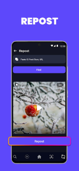 Télécharger Luyo - Analytics for Instagram Social pour Android Capture d'écran 5