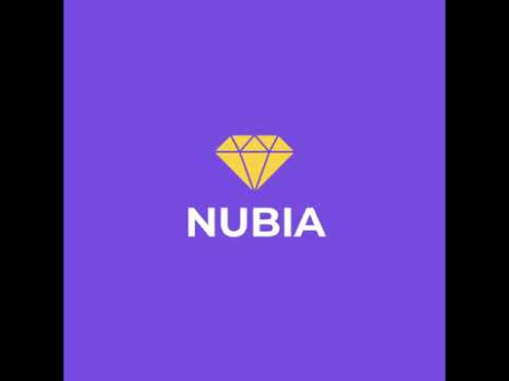 Télécharger Nubia Travail pour Android Capture d'écran 8