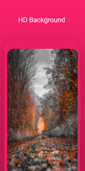 Télécharger wallcraft live wallpaper Personnalisation pour Android Capture d'écran 4