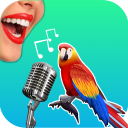 Télécharger  Bird Translator Simulator App