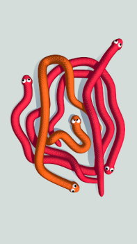 Télécharger Tangled Snakes Jeux de réflexion pour Android Capture d'écran 6
