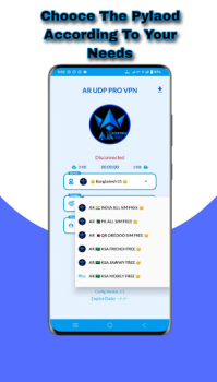 Télécharger AR UDP PRO VPN Outils pour Android Capture d'écran 3