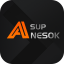 Télécharger  Sup-Anesok