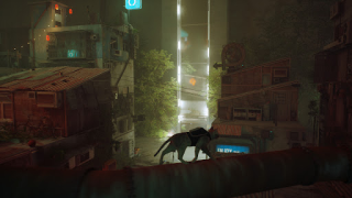 Télécharger Stray Cat Simulator Mobile Simulateurs pour Android Capture d'écran 2