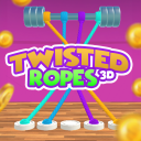 Télécharger  Twisted Ropes 3D Tangle Master