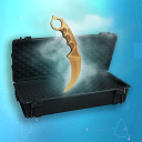 Télécharger  Standoff Case Sim