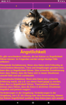 Télécharger Katzen Clicker Training Light Logement et maison pour Android Capture d'écran 7