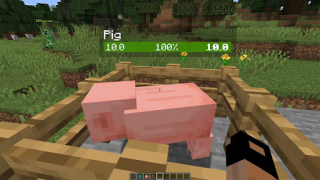 Télécharger Neat Mod Minecraft Divertissement pour Android Capture d'écran 6