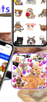 Télécharger memes Autocollants Chats Communication pour Android Capture d'écran 4