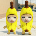 Télécharger  Banana Cat