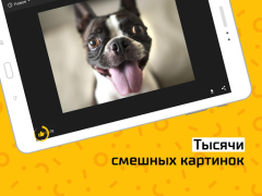 Télécharger АйДаПрикол Divertissement pour Android Capture d'écran 6
