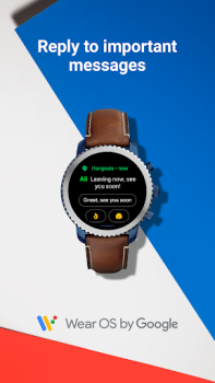 Télécharger Wear OS by Google Communication pour Android Capture d'écran 7