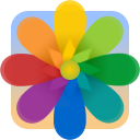 Télécharger  Cadre de fleur