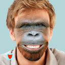 Télécharger  Face Swap