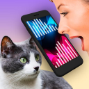 Télécharger  Chat Traducteur Miaulement