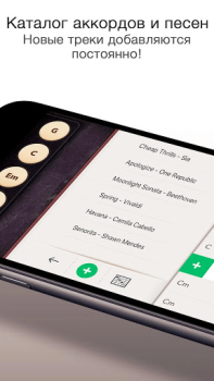 Télécharger Guitare - Chansons et Accords Musique pour Android Capture d'écran 5